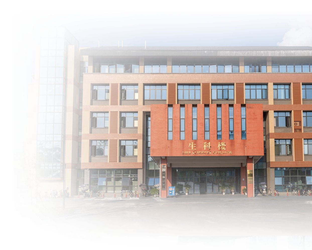 [图文]聚力赋能育青年 逐梦西部赴征